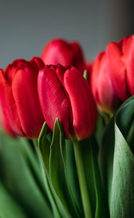 seo����Ҫע��ʲô��